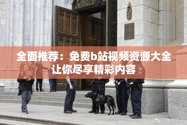 全面推荐：免费b站视频资源大全让你尽享精彩内容