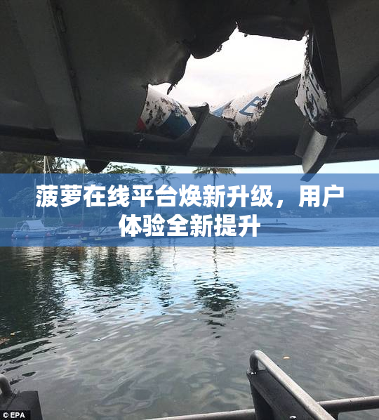 菠萝在线平台焕新升级，用户体验全新提升