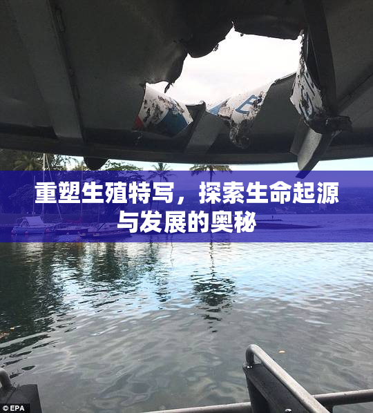 重塑生殖特写，探索生命起源与发展的奥秘