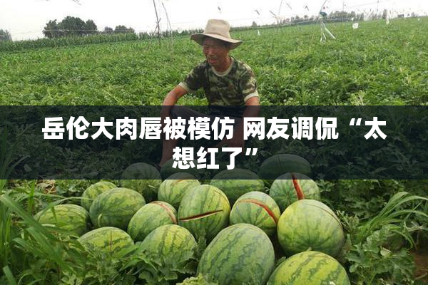 岳伦大肉唇被模仿 网友调侃“太想红了”