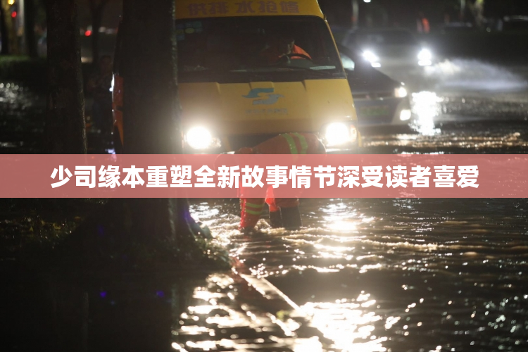 少司缘本重塑全新故事情节深受读者喜爱
