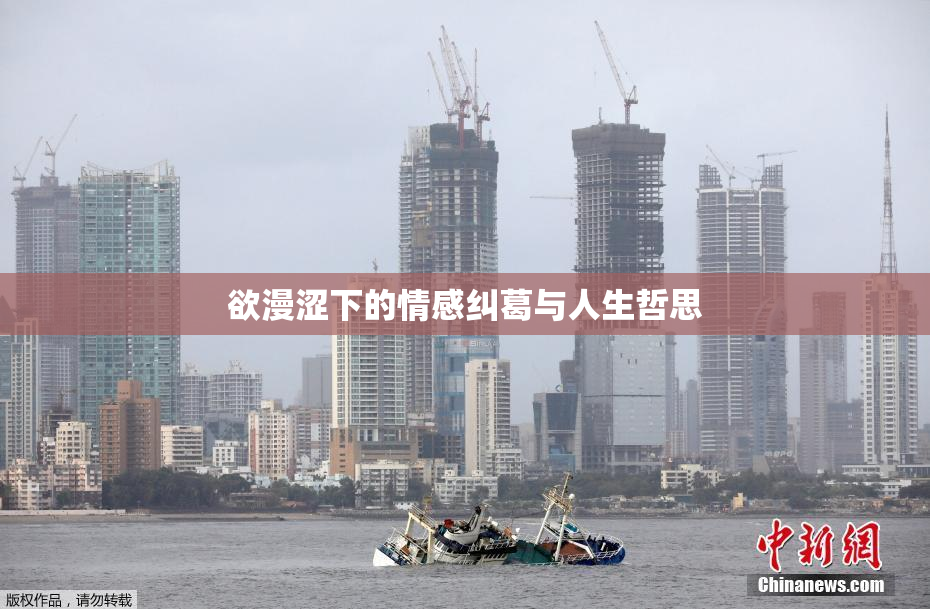 欲漫涩下的情感纠葛与人生哲思