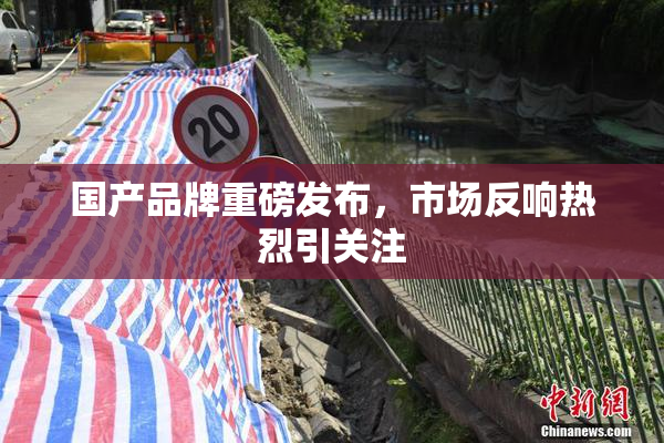 国产品牌重磅发布，市场反响热烈引关注