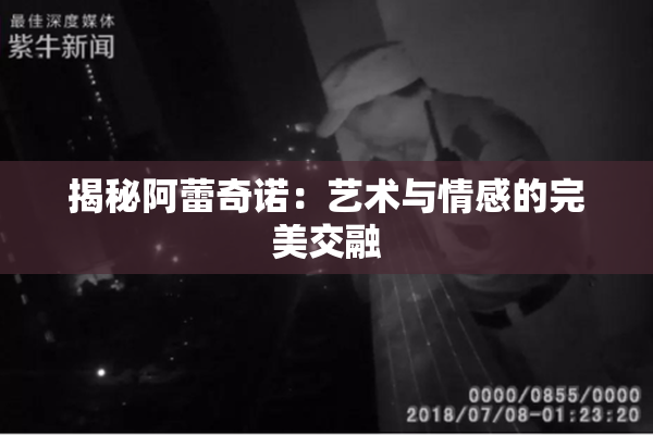 揭秘阿蕾奇诺：艺术与情感的完美交融