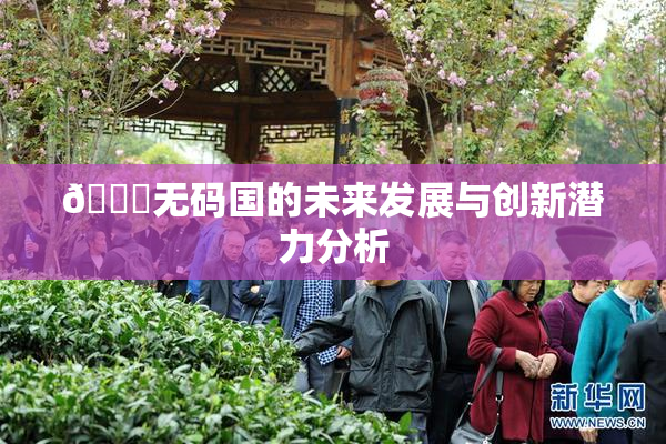 🔞无码国的未来发展与创新潜力分析
