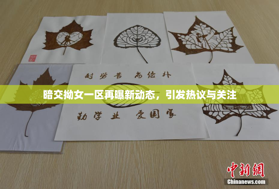 暗交拗女一区再曝新动态，引发热议与关注