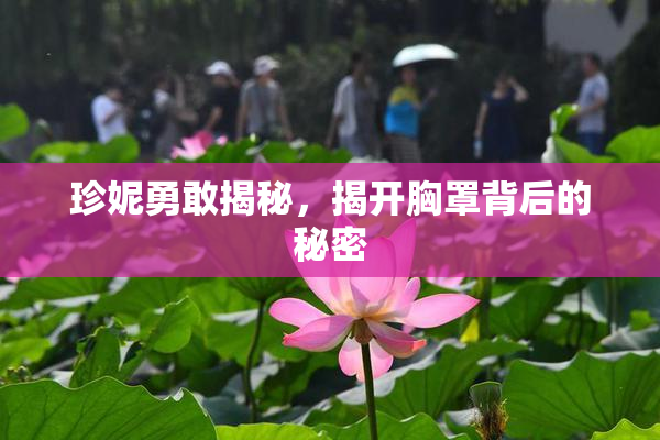 珍妮勇敢揭秘，揭开胸罩背后的秘密