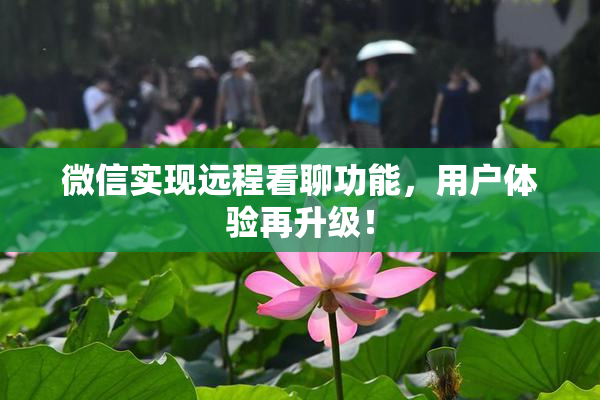 微信实现远程看聊功能，用户体验再升级！