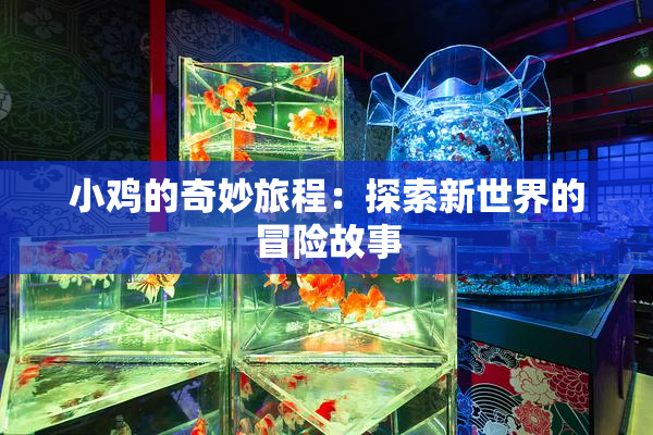 小鸡的奇妙旅程：探索新世界的冒险故事