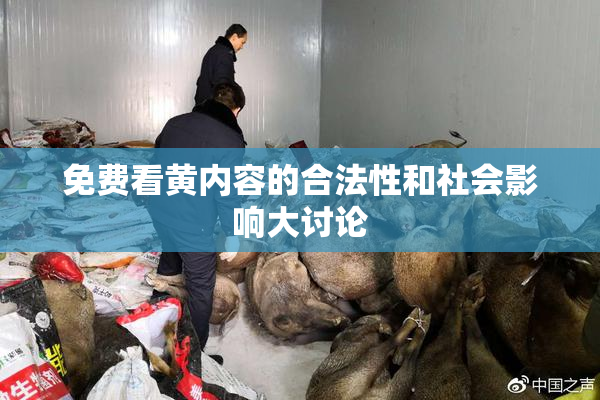 免费看黄内容的合法性和社会影响大讨论