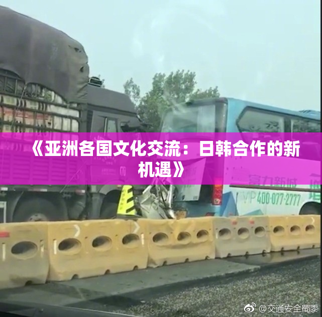 《亚洲各国文化交流：日韩合作的新机遇》