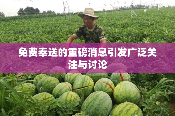 免费奉送的重磅消息引发广泛关注与讨论