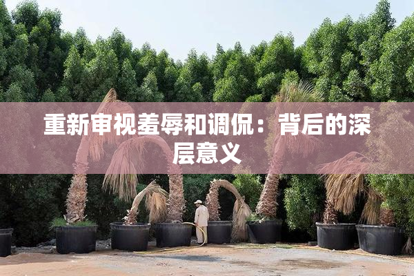 重新审视羞辱和调侃：背后的深层意义