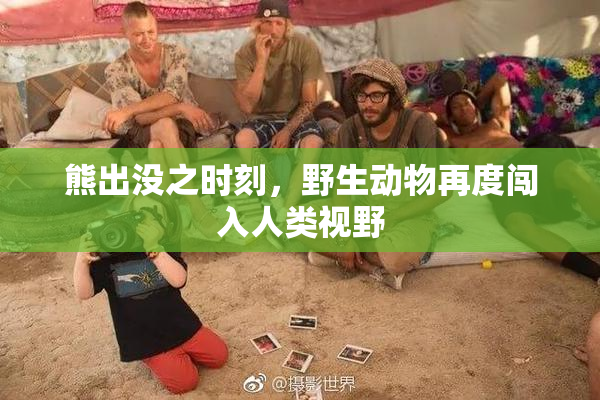 熊出没之时刻，野生动物再度闯入人类视野