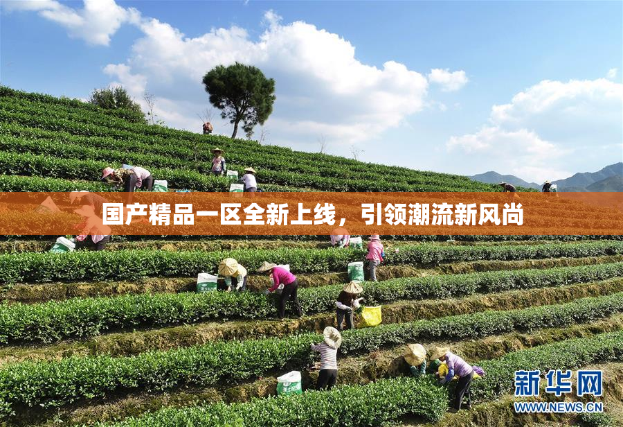 国产精品一区全新上线，引领潮流新风尚