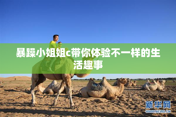 暴躁小姐姐c带你体验不一样的生活趣事