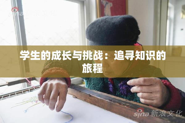 学生的成长与挑战：追寻知识的旅程