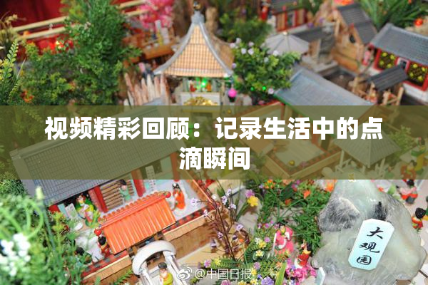 视频精彩回顾：记录生活中的点滴瞬间