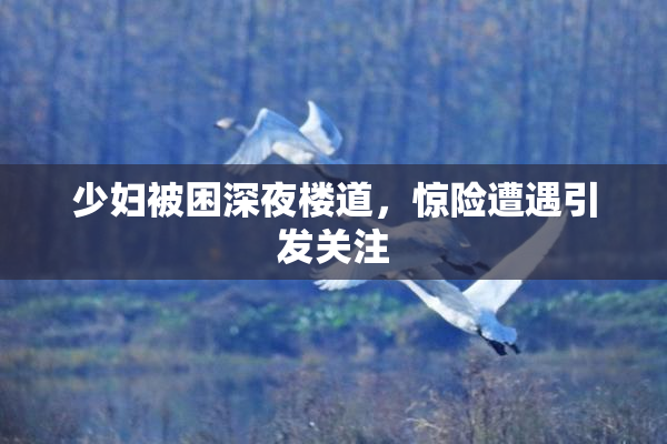 少妇被困深夜楼道，惊险遭遇引发关注