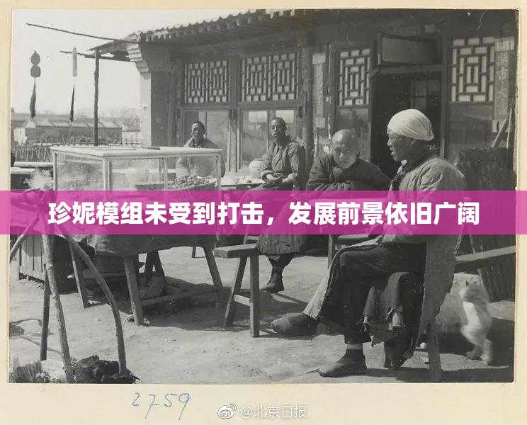 珍妮模组未受到打击，发展前景依旧广阔