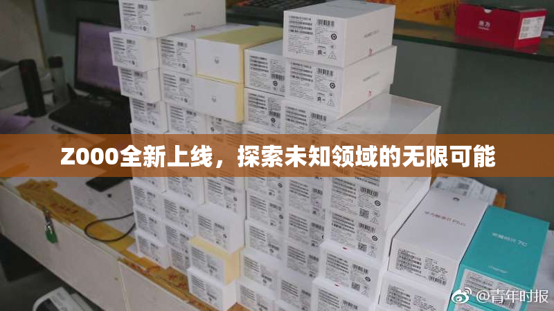 Z000全新上线，探索未知领域的无限可能