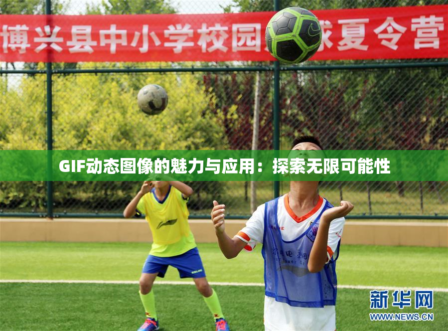 GIF动态图像的魅力与应用：探索无限可能性