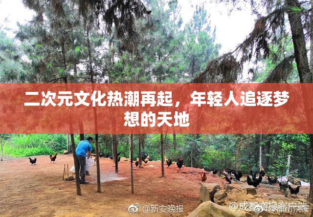 二次元文化热潮再起，年轻人追逐梦想的天地