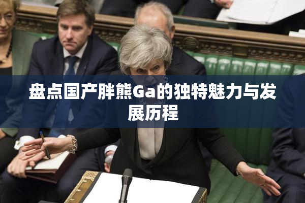 盘点国产胖熊Ga的独特魅力与发展历程