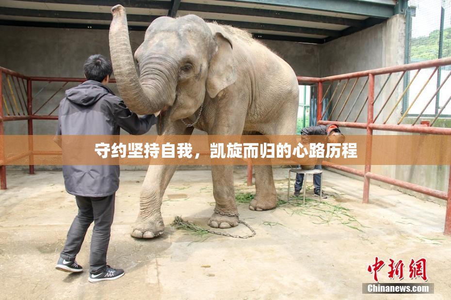 守约坚持自我，凯旋而归的心路历程