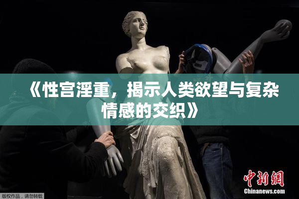 《性宫淫重，揭示人类欲望与复杂情感的交织》