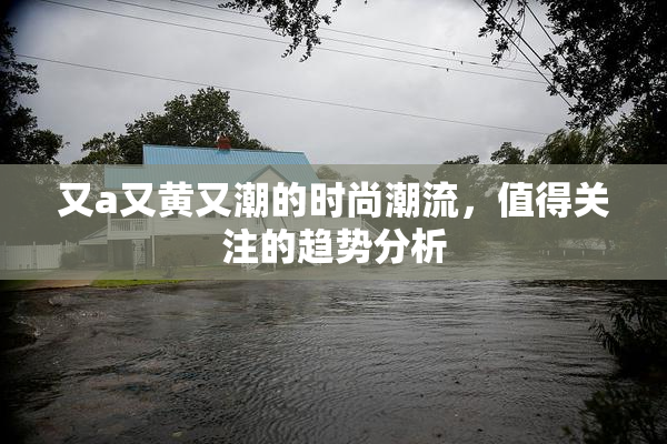 又a又黄又潮的时尚潮流，值得关注的趋势分析