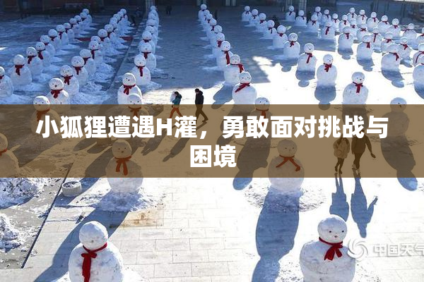 小狐狸遭遇H灌，勇敢面对挑战与困境