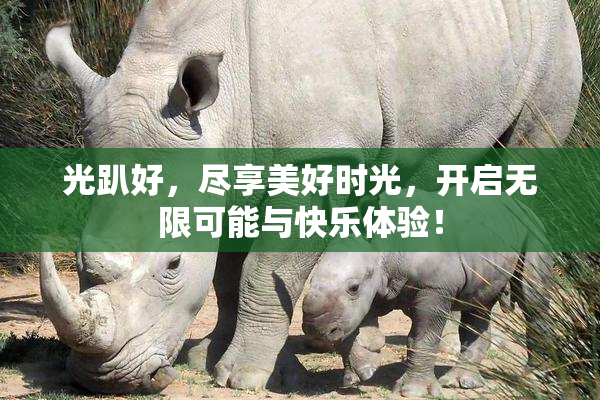 光趴好，尽享美好时光，开启无限可能与快乐体验！