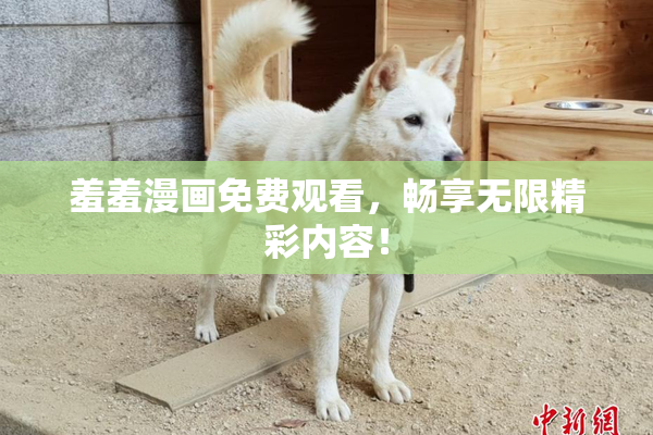 羞羞漫画免费观看，畅享无限精彩内容！