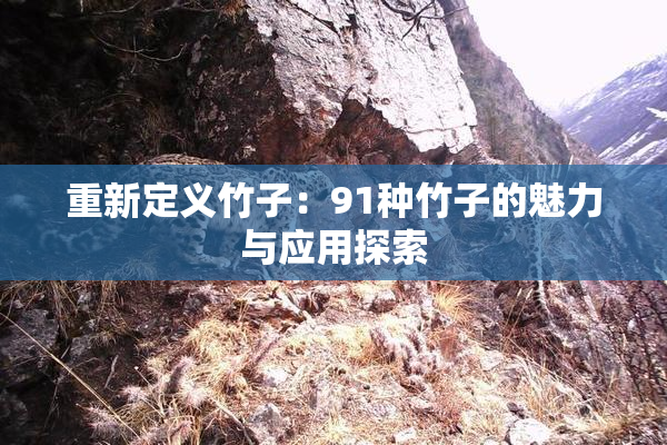 重新定义竹子：91种竹子的魅力与应用探索
