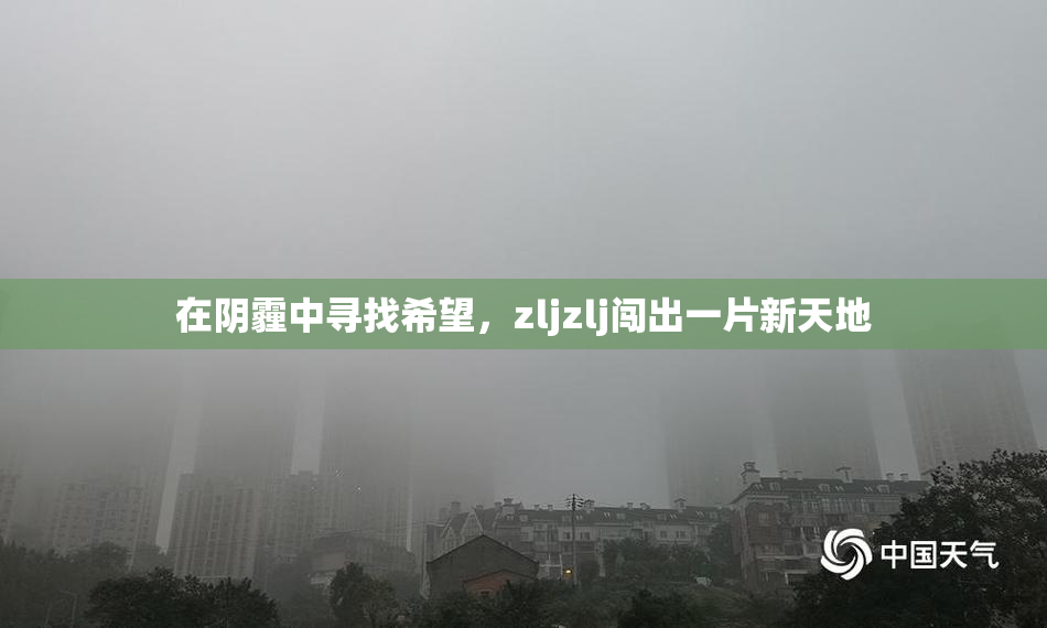 在阴霾中寻找希望，zljzlj闯出一片新天地