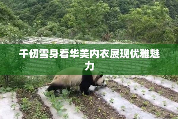 千仞雪身着华美内衣展现优雅魅力