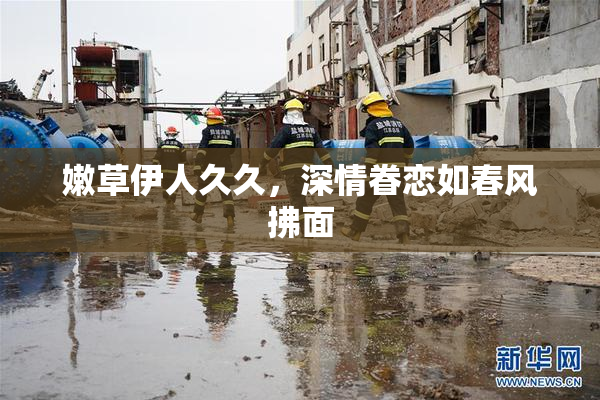 嫩草伊人久久，深情眷恋如春风拂面