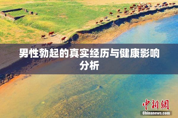 男性勃起的真实经历与健康影响分析