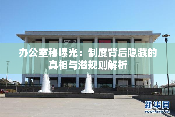 办公室秘曝光：制度背后隐藏的真相与潜规则解析
