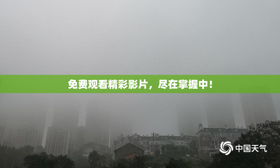 免费观看精彩影片，尽在掌握中！