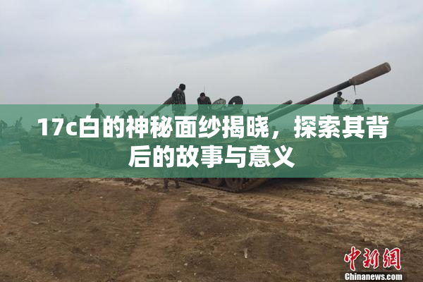 17c白的神秘面纱揭晓，探索其背后的故事与意义