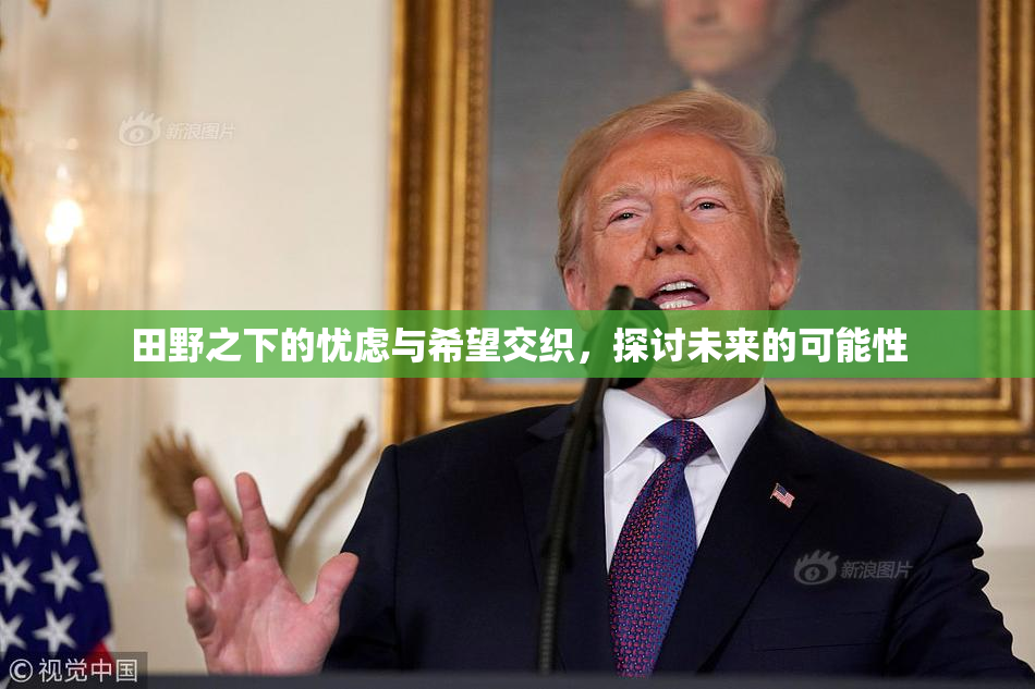 田野之下的忧虑与希望交织，探讨未来的可能性