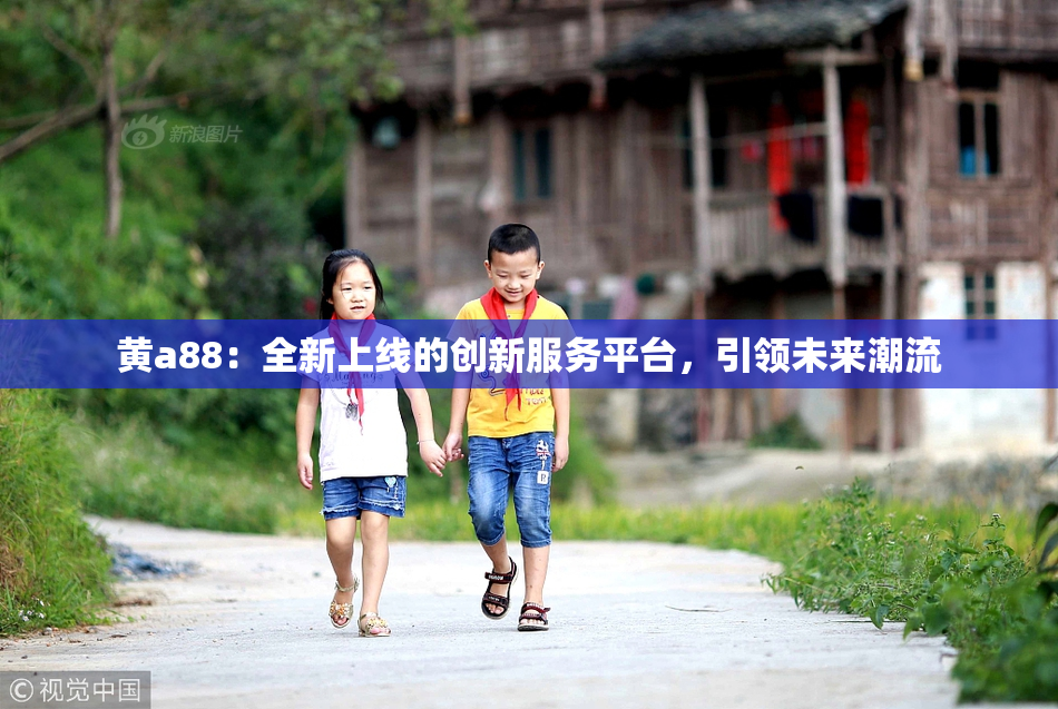 黄a88：全新上线的创新服务平台，引领未来潮流
