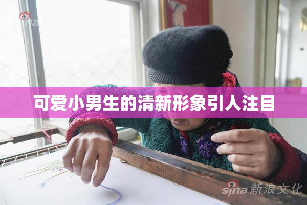 可爱小男生的清新形象引人注目