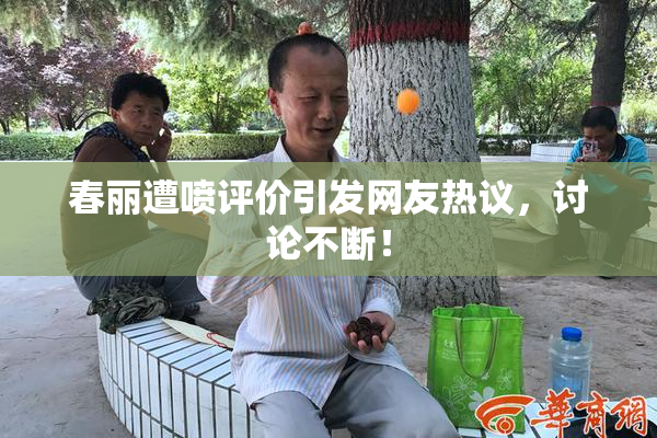 春丽遭喷评价引发网友热议，讨论不断！