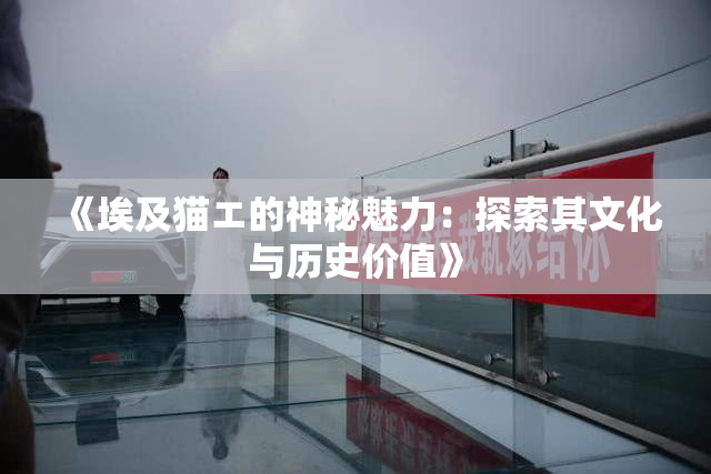 《埃及猫エ的神秘魅力：探索其文化与历史价值》