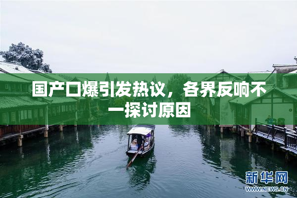 国产囗爆引发热议，各界反响不一探讨原因