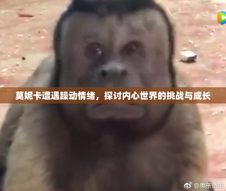 莫妮卡遭遇躁动情绪，探讨内心世界的挑战与成长