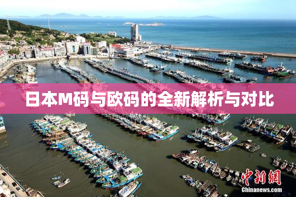 日本M码与欧码的全新解析与对比